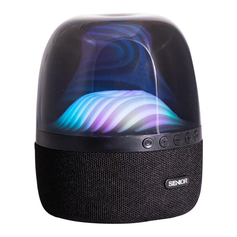 اسپیکر KF Senior مدل R810